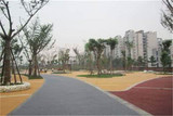彩色透水混凝土市政綠道施工設計鋪裝工程